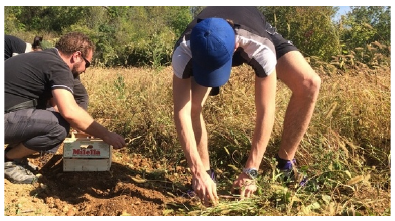 
Lien vers: https://www.civam.org/accueil-echanges/accueil-social-a-la-ferme-et-en-milieu-rural/