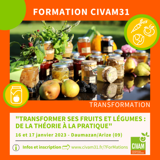 image Agenda_CIVAM_31_transfo_fl.png (0.6MB)