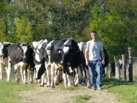 Le GIEE systèmes herbagers pâturants a été déposé !