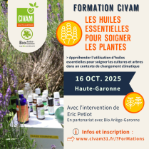 image Formation_HE.png (0.7MB)