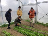 Municipales 2026 : 3 rdv pour &eacute;changer autour d'une agriculture et d'une alimentation durable, biologique et de qualit&eacute; accessible &agrave; tous