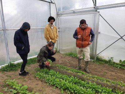 Municipales 2026 : 3 rdv pour &eacute;changer autour d'une agriculture et d'une alimentation durable, biologique et de qualit&eacute; accessible &agrave; tous