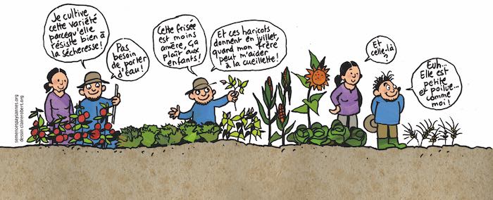 image dessinpetiteetpoilue.jpg (52.2kB)
Lien vers: https://www.civam31.fr/?Semences