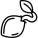 seed3.png