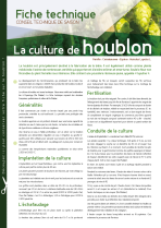 
Lien vers: https://www.civam31.fr/?Doc/download&file=Fichetechnique_Lacultureduhoublon.pdf