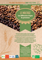 
Lien vers: https://www.ocebio.fr/content/uploads/sites/2/2024/03/web-fbo-fiche-maltage.pdf